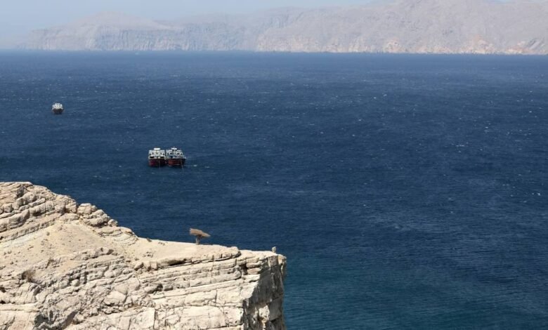 Países coordinan acciones para evitar crisis en el estrecho de Ormuz