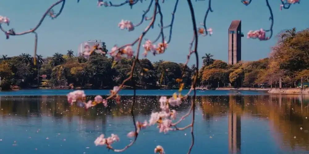 prevén calor extremo y alto riesgo de incendios