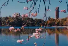 prevén calor extremo y alto riesgo de incendios