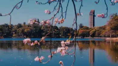 prevén calor extremo y alto riesgo de incendios