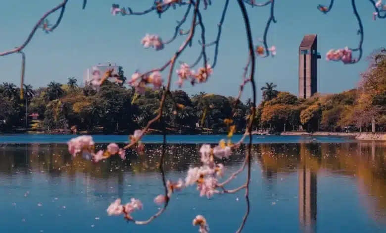 prevén calor extremo y alto riesgo de incendios