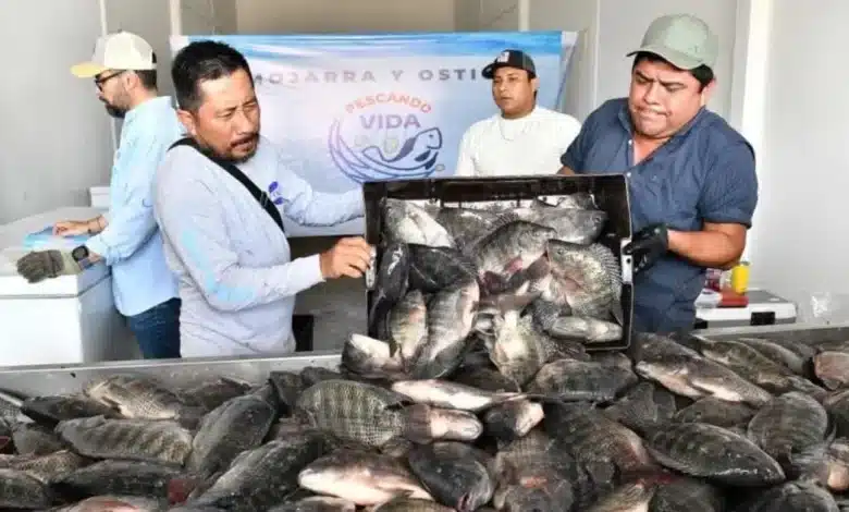 productores de tabasco tomarán la central de abasto