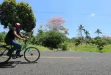 pronostican lluvias fuertes y calor extremo