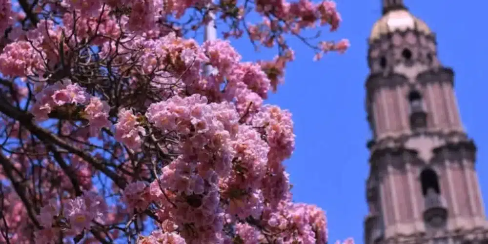 pronostican lluvias para tabasco