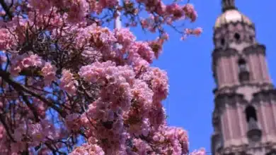 pronostican lluvias para tabasco