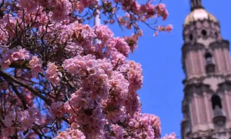 pronostican lluvias para tabasco