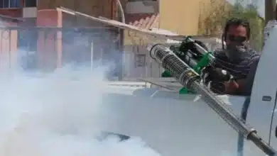 Refuerzan prevención del dengue en Comalcalco con jornada masiva