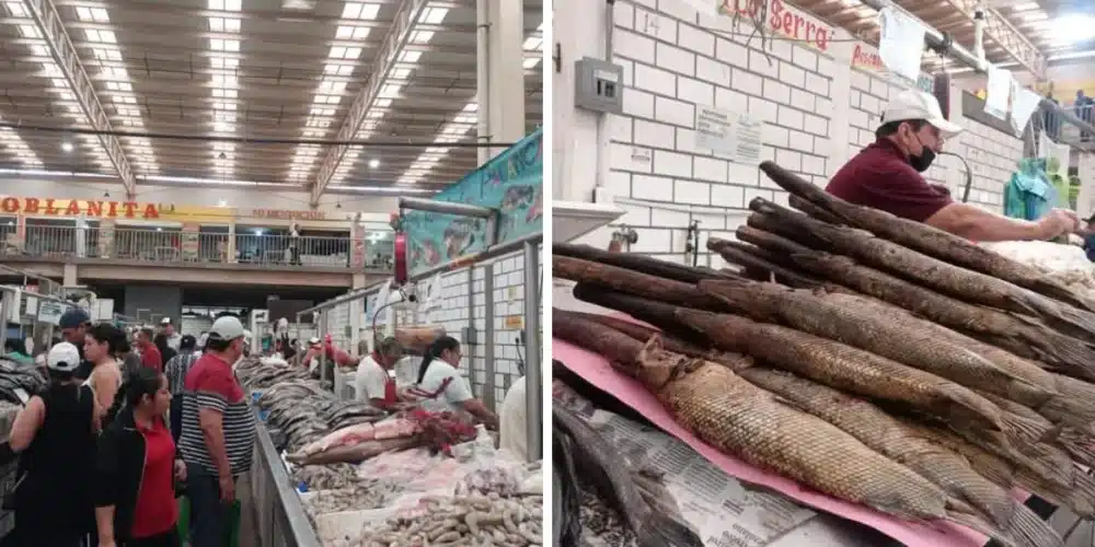 Repunta 4_ la venta de pescados y mariscos en el mercado Pino Suárez