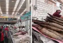 Repunta 4_ la venta de pescados y mariscos en el mercado Pino Suárez