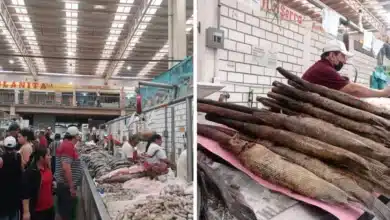 Repunta 4_ la venta de pescados y mariscos en el mercado Pino Suárez