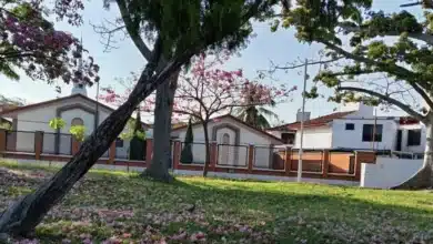 sensación térmica alcanzará los 40 grados centígrados