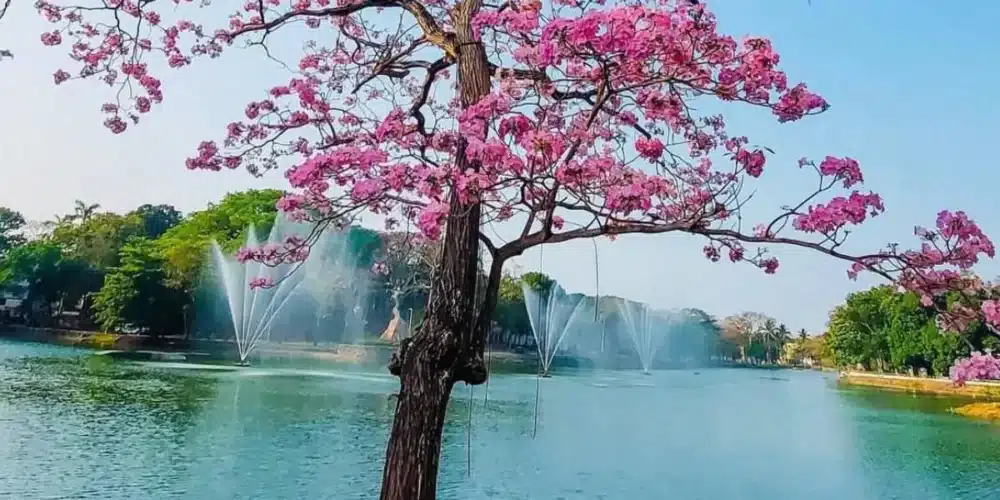 Sensación térmica alcanzará los 45 grados centígrados