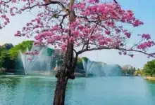 Sensación térmica alcanzará los 45 grados centígrados