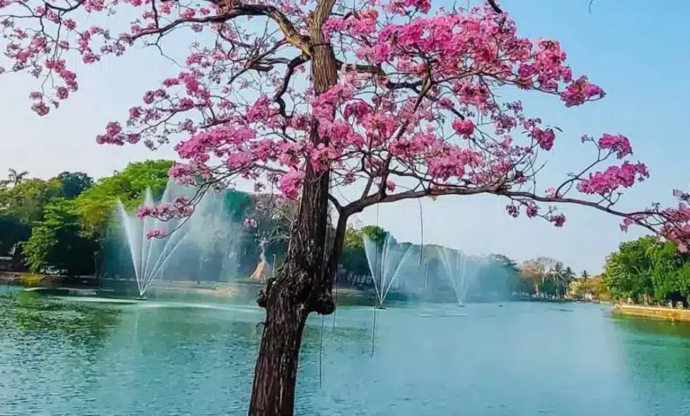 Sensación térmica alcanzará los 45 grados centígrados