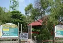 Tabasco será excenario natural de un largometraje