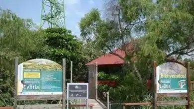 Tabasco será excenario natural de un largometraje