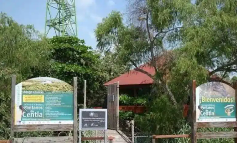 Tabasco será excenario natural de un largometraje