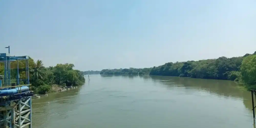 Termómetro rozará los 45 grados centígrados