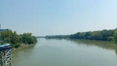 Termómetro rozará los 45 grados centígrados