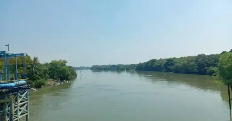 Termómetro rozará los 45 grados centígrados