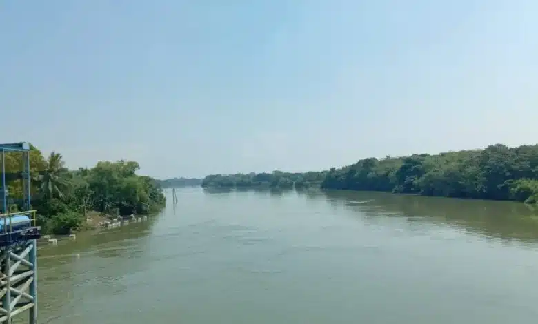 Termómetro rozará los 45 grados centígrados