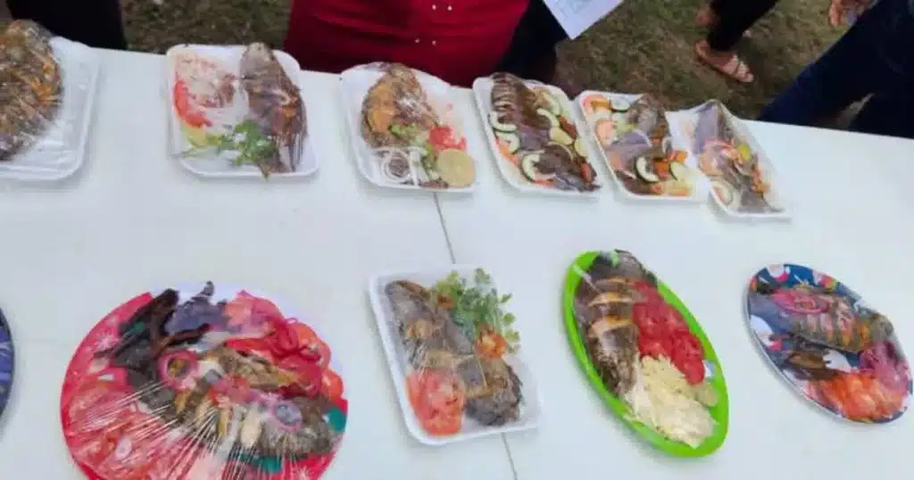 todo listo para el festival del ostión y la tilapia (2)