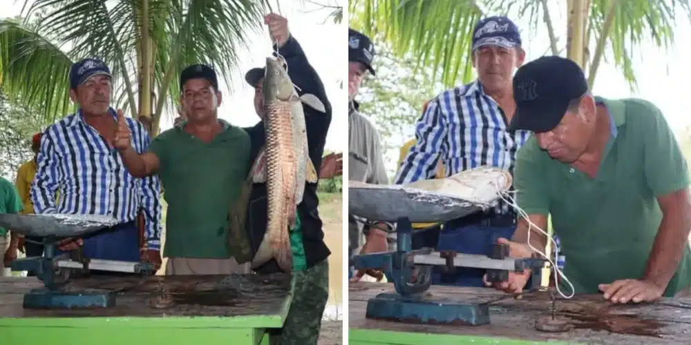 Tradición y Deporte se unen en el 12° Torneo de la Pesca del Bobo escamas