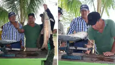 Tradición y Deporte se unen en el 12° Torneo de la Pesca del Bobo escamas