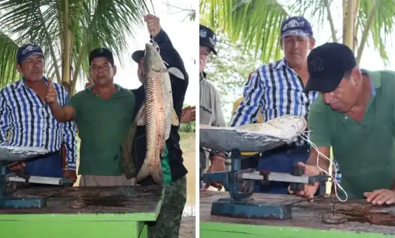 Tradición y Deporte se unen en el 12° Torneo de la Pesca del Bobo escamas