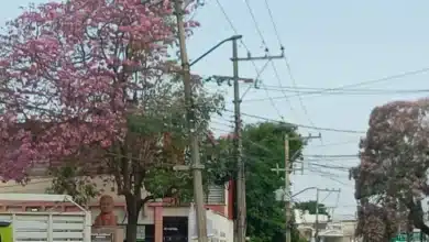 Villahermosa se rinde ante el Guayacán