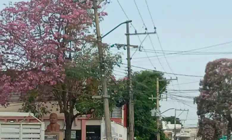 Villahermosa se rinde ante el Guayacán