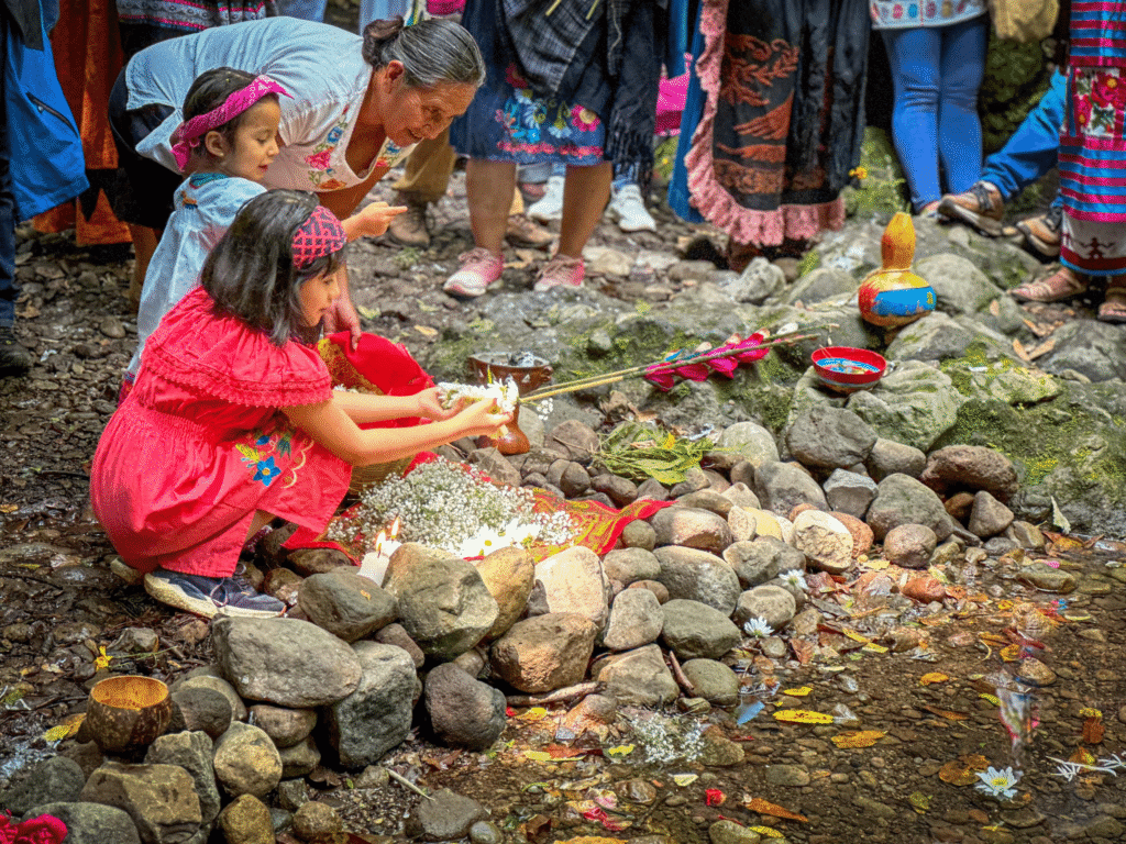 Casas de Lengua Indígena,CALI INPI,revitalización lingüística México,comunidades indígenas sujetos de derecho,Joaquín Díaz Mena,lenguas indígenas en riesgo,diversidad cultural México,Plan de Justicia Indígena,presupuesto INPI 2026,formación de promotores indígenas,variantes lingüísticas México,autonomía indígena Artículo 2,justicia lingüística,educación comunitaria,preservación de lenguas.