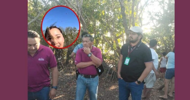 ¿De cuánto es la multa por asustar a flamencos en Yucatán Esto podría pagar Elisa La Yuca
