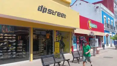 ¿qué es y cómo funciona la plataforma escudo olmeca