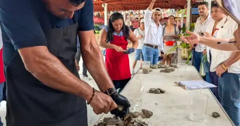 Concurso de desconche reúne a productores ostrícolas en la Feria Tabasco 2026