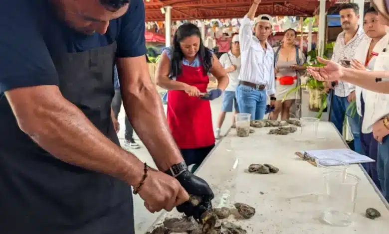 Concurso de desconche reúne a productores ostrícolas en la Feria Tabasco 2026