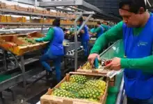 crecen los empleos en tabasco durante 2026