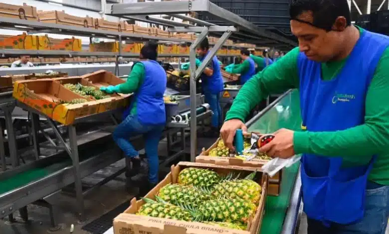 crecen los empleos en tabasco durante 2026