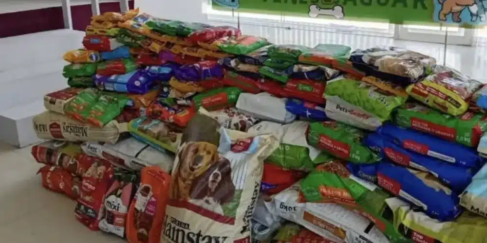 Croquetón 2026 beneficia refugios animales con más de 900 kilos de croquetas