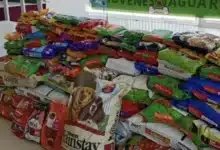 Croquetón 2026 beneficia refugios animales con más de 900 kilos de croquetas