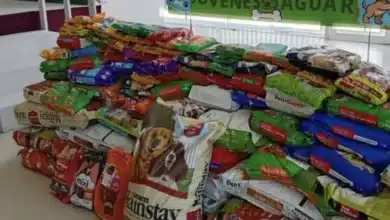 Croquetón 2026 beneficia refugios animales con más de 900 kilos de croquetas