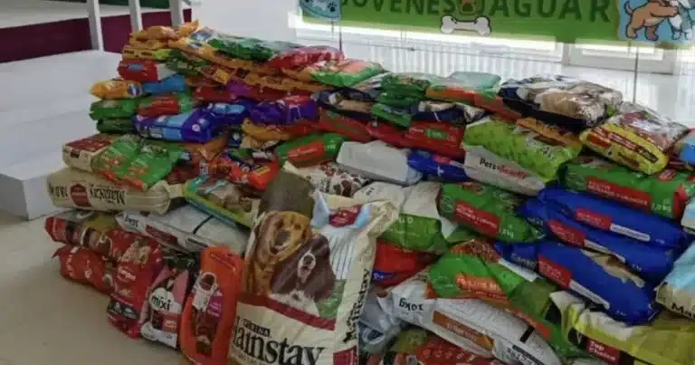 Croquetón 2026 beneficia refugios animales con más de 900 kilos de croquetas