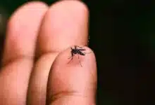 Disminuyen casos de dengue en Tabasco