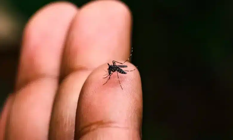 Disminuyen casos de dengue en Tabasco
