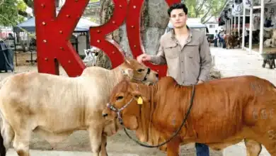 “el boran” apuesta ganadera en tabasco