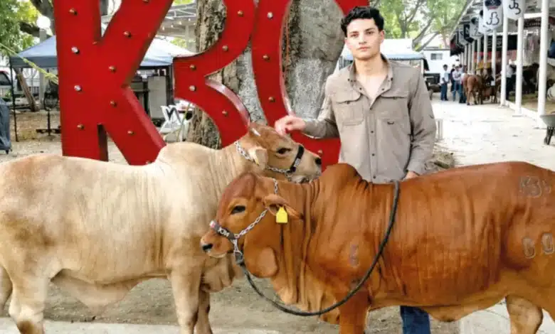 “el boran” apuesta ganadera en tabasco