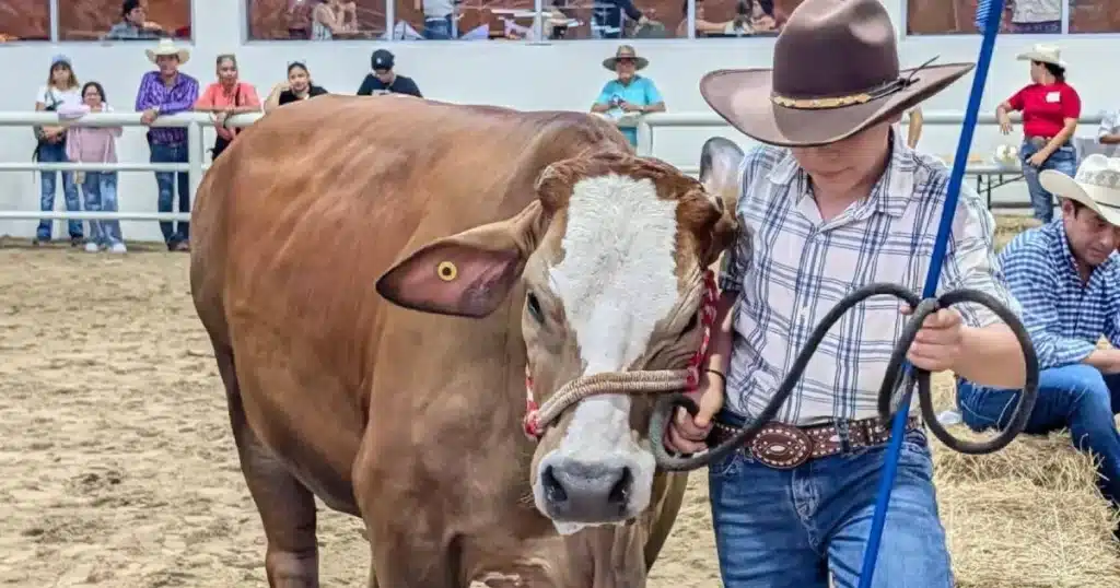 el futuro ganadero brilla en la feria tabasco 2026 (1)