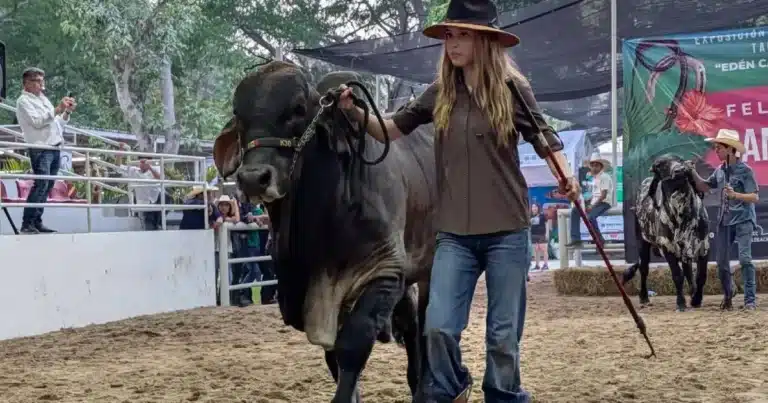 El futuro ganadero brilla en la Feria Tabasco 2026
