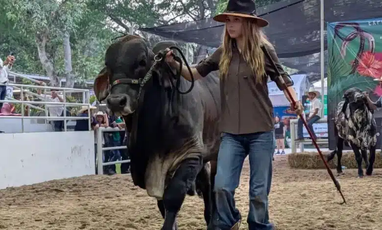 El futuro ganadero brilla en la Feria Tabasco 2026