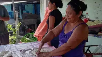 el negocio familiar es lo primero, para subsistir